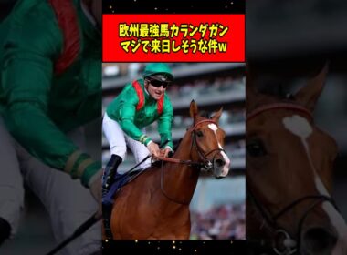 【速報】欧州最強馬カランダガン、本当にジャパンカップに来そうwww#shorts