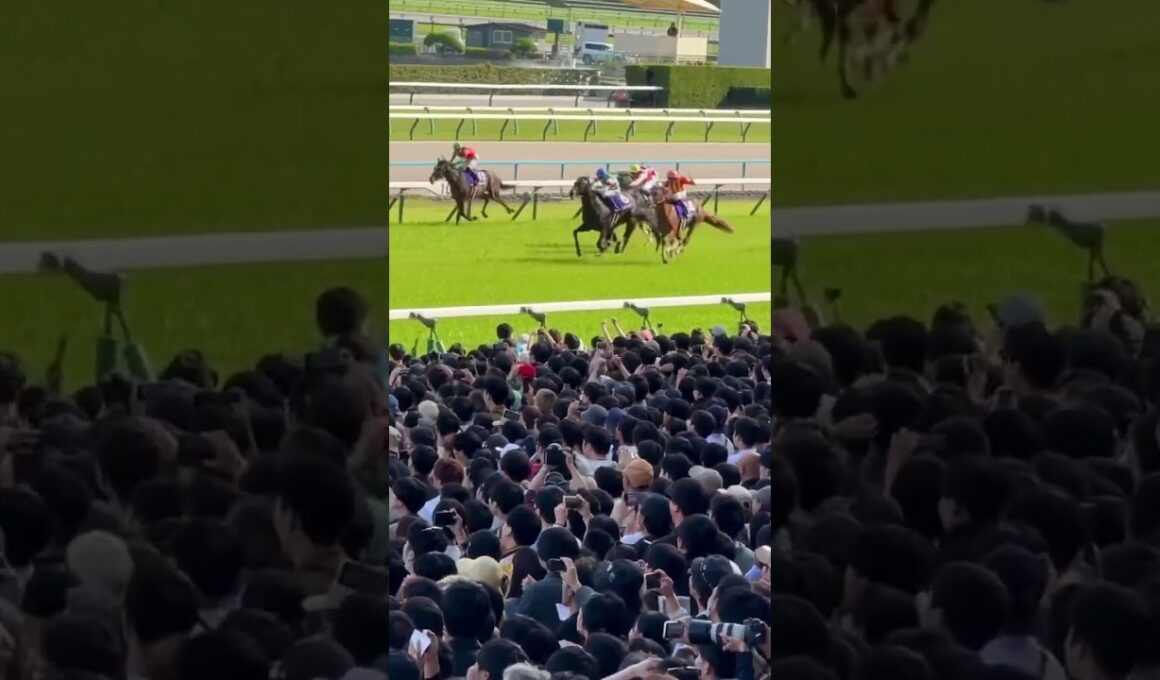 第171回天皇賞・春ゴールシーン へデントールVSビザンチンドリーム