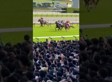 第171回天皇賞・春ゴールシーン へデントールVSビザンチンドリーム