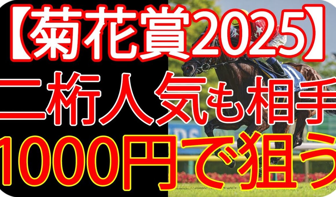 【菊花賞2025】AI×過去10年の“結論”──1000円で何を買う？