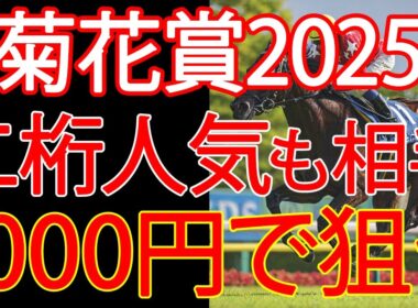【菊花賞2025】AI×過去10年の“結論”──1000円で何を買う？
