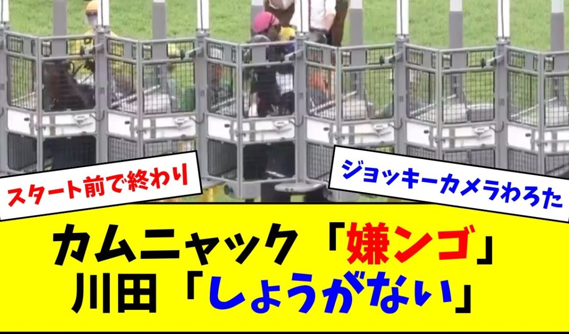 興奮状態のカムニャックに川田「しょうがいない、しょうがない、しょうがない」