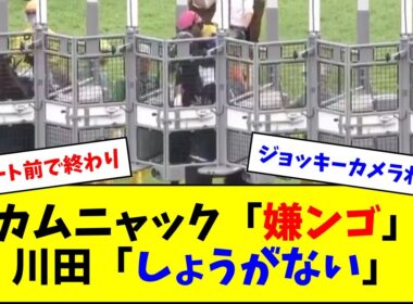 興奮状態のカムニャックに川田「しょうがいない、しょうがない、しょうがない」