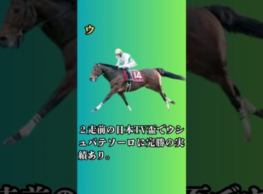 フェブラリーＳ穴馬ベスト5。#競馬 #競馬予想 #フェブラリーステークス #競馬シュミレーション #競馬指数 #競馬好きな人と繋がりたい