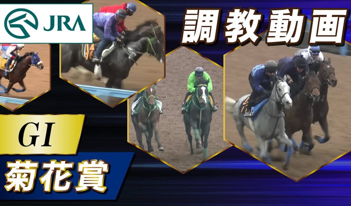 【調教動画】2025年 菊花賞｜JRA公式