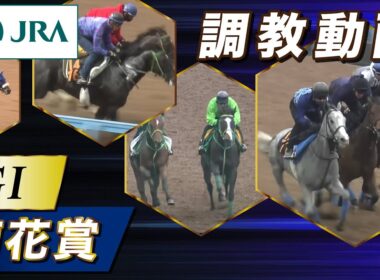【調教動画】2025年 菊花賞｜JRA公式