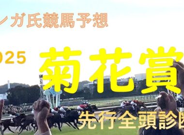 10月26日菊花賞2025先行予想