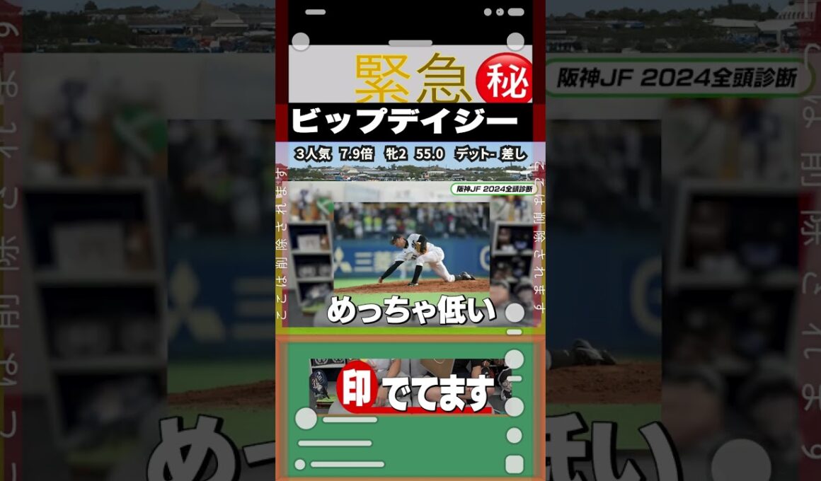 阪神ジュベナイルフィリーズ　ナーツゴンニャー中井の穴馬の宝庫　A評価＃#ビップデイジー　＃なーつごんにゃ中井