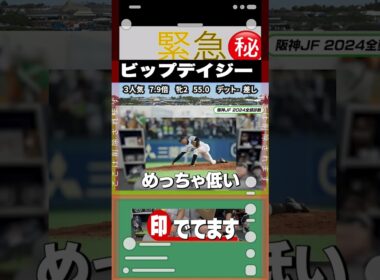 阪神ジュベナイルフィリーズ　ナーツゴンニャー中井の穴馬の宝庫　A評価＃#ビップデイジー　＃なーつごんにゃ中井