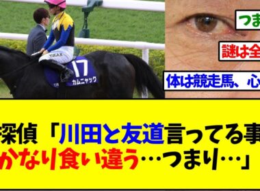 競走馬探偵「秋華賞のカムニャック、川田騎手と友道調教師の言っていることが、かなり食い違う…つまり…ということは…」【反応集】