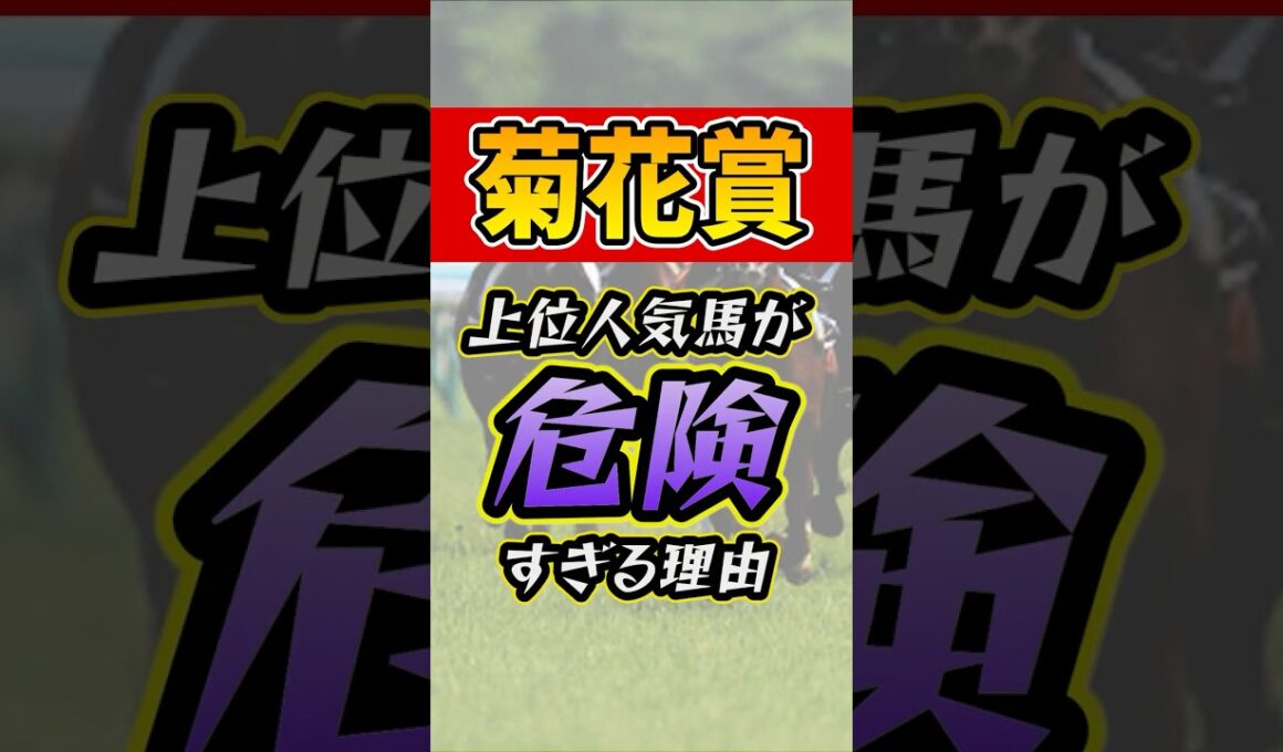 能力以上に人気する危険な上位馬 #競馬 #菊花賞 #shorts