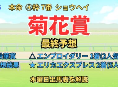 ◎ ショウヘイ 「菊花賞 2025 最終予想」 #菊花賞