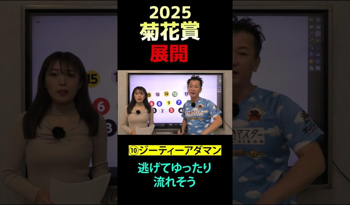 ワンポイントアドバイス～菊花賞 2025