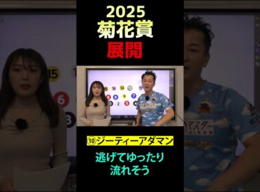ワンポイントアドバイス～菊花賞 2025