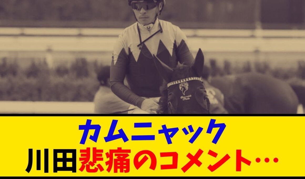 【秋華賞】「カムニャック 1番人気16着大敗 川田騎手悲痛のコメント…」に対するみんなの反応【反応集】