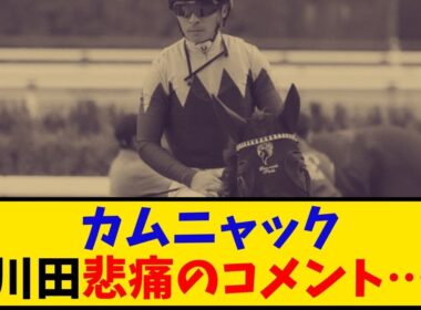 【秋華賞】「カムニャック 1番人気16着大敗 川田騎手悲痛のコメント…」に対するみんなの反応【反応集】