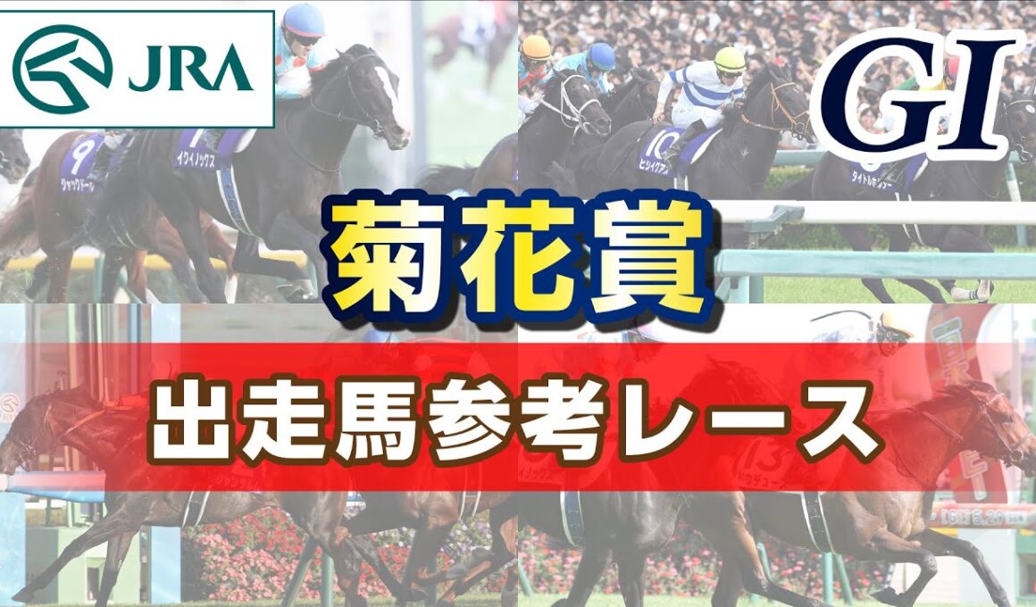 【参考レース】2025年 菊花賞｜JRA公式