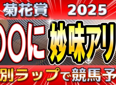 【菊花賞2025】エリキングかエネルジコか、あるいは。長距離適性を読め！