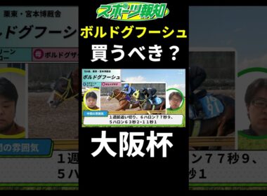 【大阪杯2025】ボルドグフーシュは買うべき？コース適性など競馬記者が徹底解説