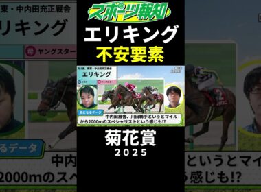 【菊花賞2025】エリキングの不安要素は？取捨ポイント２つを競馬記者が解説