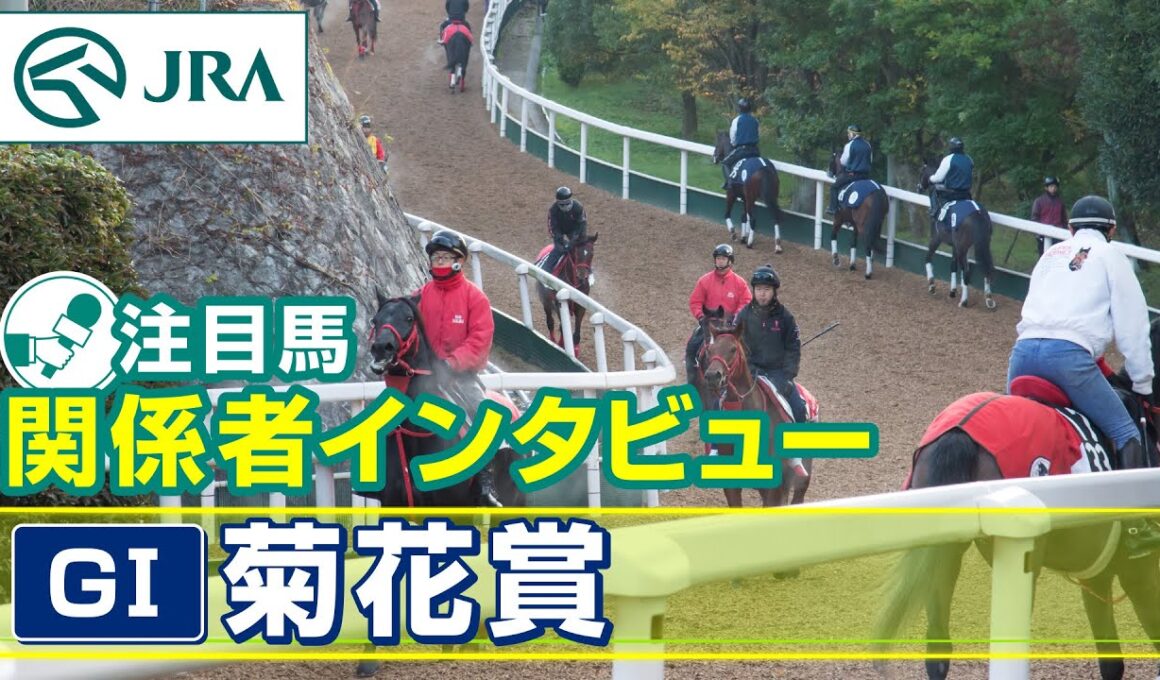 【注目馬 関係者インタビュー】2025年 菊花賞｜JRA公式