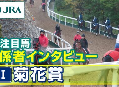 【注目馬 関係者インタビュー】2025年 菊花賞｜JRA公式