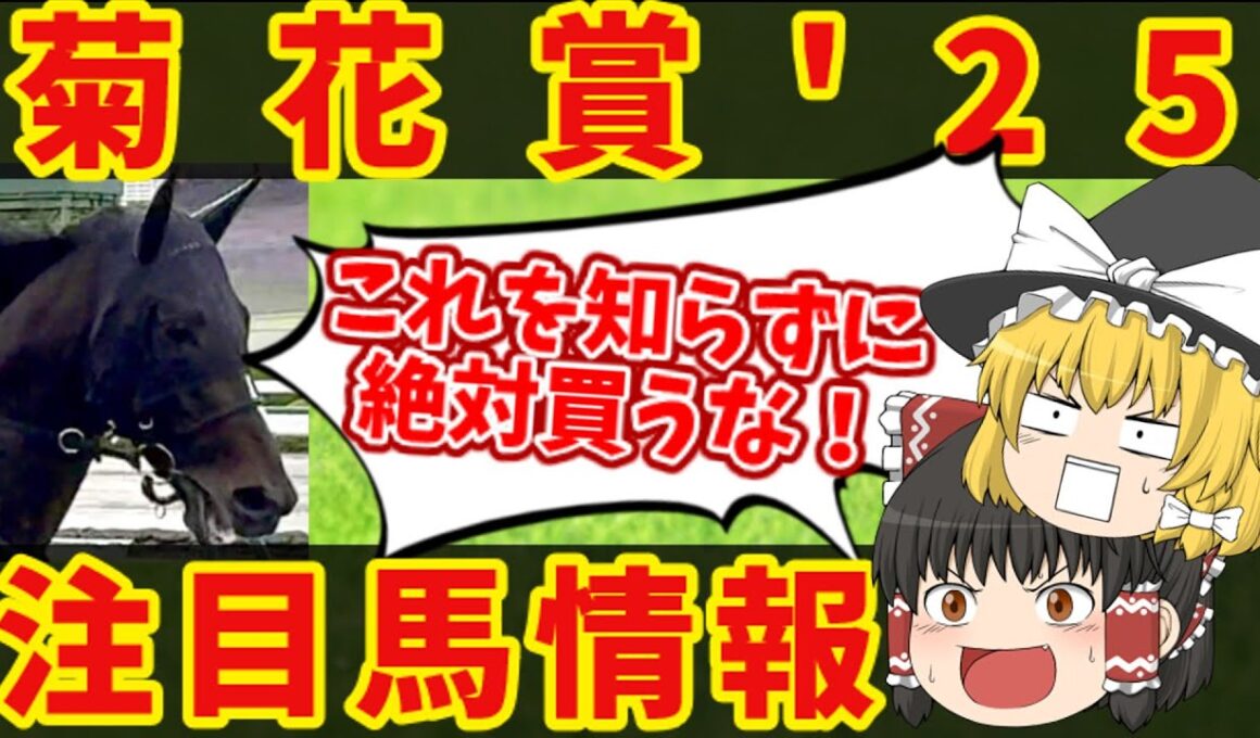 【菊花賞】このデータに逆らうのは無謀・・・知らないと損をする注目馬の情報！！