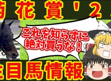 【菊花賞】このデータに逆らうのは無謀・・・知らないと損をする注目馬の情報！！