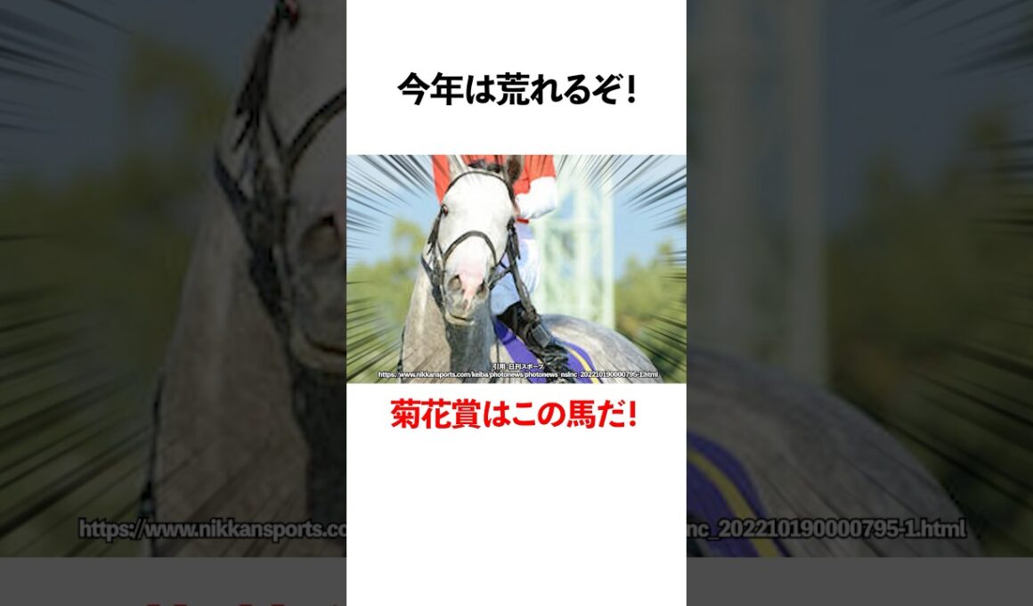 今年は荒れるぞ！菊花賞馬はこの馬だ！