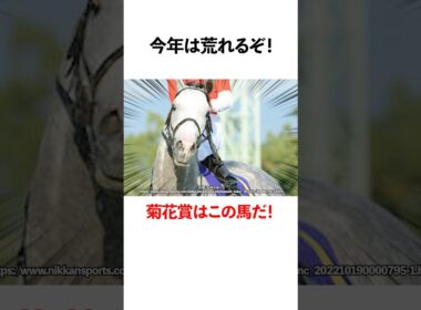 今年は荒れるぞ！菊花賞馬はこの馬だ！
