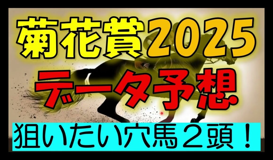 菊花賞2025　データ予想