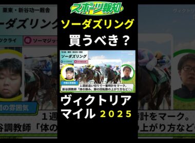 【ヴィクトリアマイル2025】ソーダズリングは買うべき？戦歴、特徴、力関係など解説