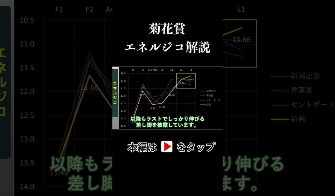 菊花賞 ラップタイム分析【エネルジコ編】