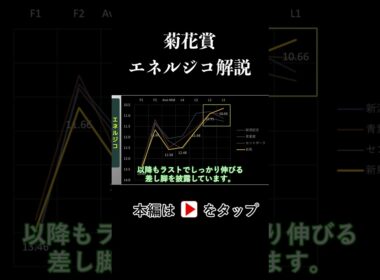 菊花賞 ラップタイム分析【エネルジコ編】
