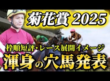 【菊花賞2025】【レース展開】枠順確定後の渾身の穴馬とレース展開予想・見解