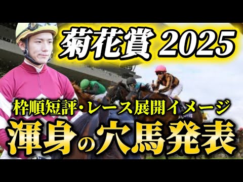【菊花賞2025】【レース展開】枠順確定後の渾身の穴馬とレース展開予想・見解