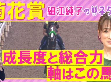 「馬がすごく良くなってる！」エネルジコ、エリキング、ショウヘイ・・・菊花賞(ＧⅠ)を元ジョッキーの細江純子さんが解説！＜細江純子のネタ帳＞