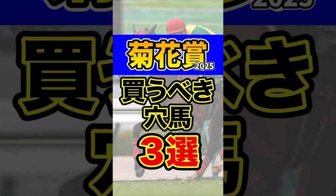 期待値抜群の大穴馬 #競馬 #菊花賞 #shorts