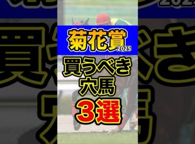 期待値抜群の大穴馬 #競馬 #菊花賞 #shorts