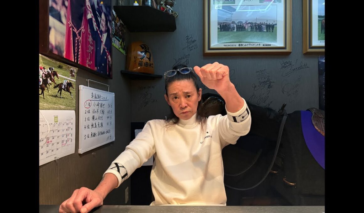 菊花賞 2025 向正面