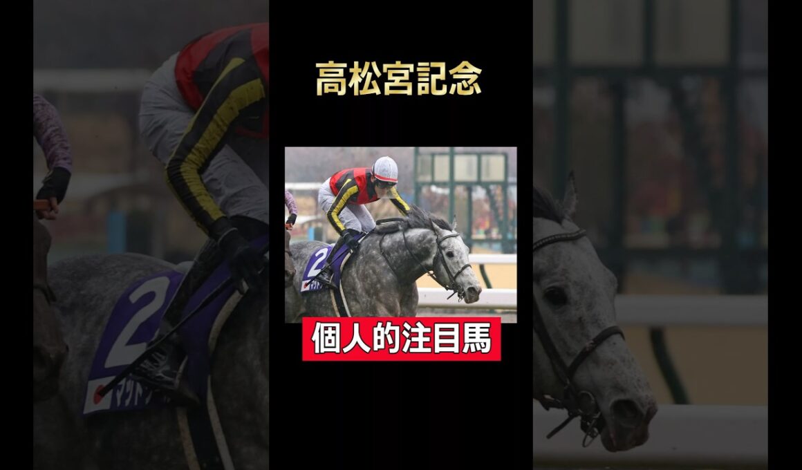 さあ、連覇に向けてマッドクール!高松宮記念個人的注目馬！#高松宮記念2025 #マッドクール #中京競馬