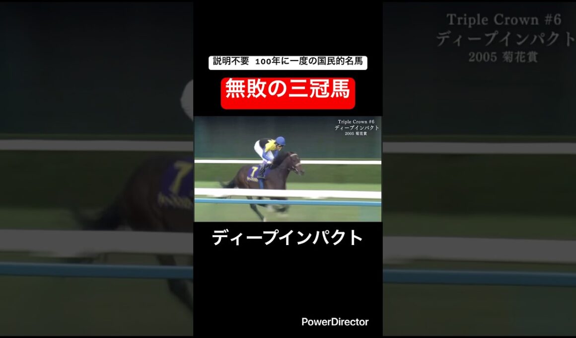 ディープインパクト 菊花賞　#三冠馬  #競馬 #菊花賞　#競馬予想 #ジャパンカップ #天皇賞秋 #有馬記念