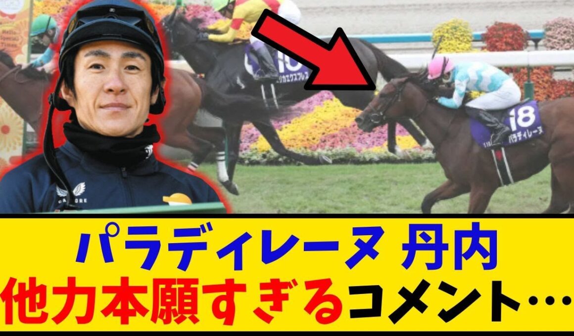 【秋華賞】「パラディレーヌ 丹内騎手の他力本願なコメントがヤバい…」に対するみんなの反応【反応集】