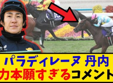 【秋華賞】「パラディレーヌ 丹内騎手の他力本願なコメントがヤバい…」に対するみんなの反応【反応集】