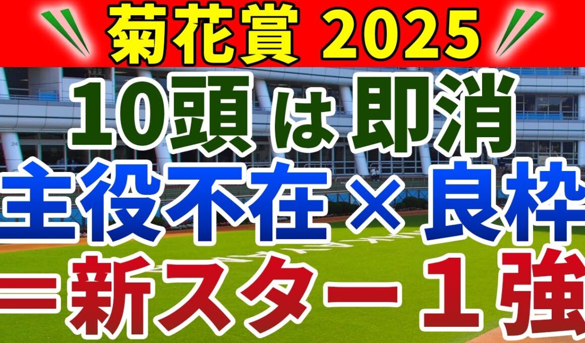 菊花賞2025 競馬YouTuber達が選んだ【確信軸】実質8頭立て＋後半スピードなら迷わず1強！
