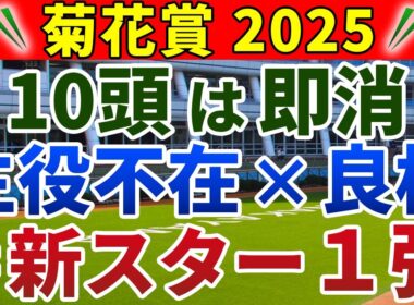 菊花賞2025 競馬YouTuber達が選んだ【確信軸】実質8頭立て＋後半スピードなら迷わず1強！