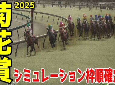 稍重馬場Ver.【菊花賞2025】シミュレーション枠順確定版 神戸新聞杯を勝ったエリキングは7枠15番！新潟記念2着エネルジコは5枠9番！日本ダービー3着馬ショウヘイは4枠7番！【競馬予想】