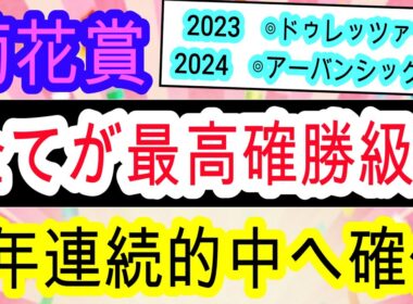 【競馬予想】菊花賞2025　日本一当たる予想を伝授！　血統　調教を無視してこのデータを見て買えば間違いないです！！