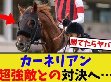 ウインカーネリアン、次走はなんとあのレース…【競馬反応集】