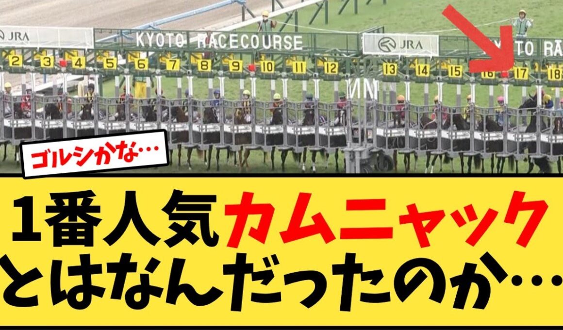 【秋華賞】 カムニャックとはなんだったのか…【競馬反応集】